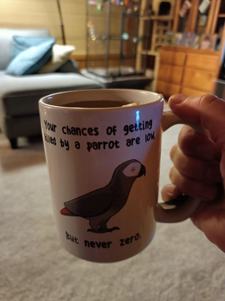 A mug reading "Your chances of getting killed by a parrot are low, but never zero."

There is a picture of an African Grey parrot in profile.