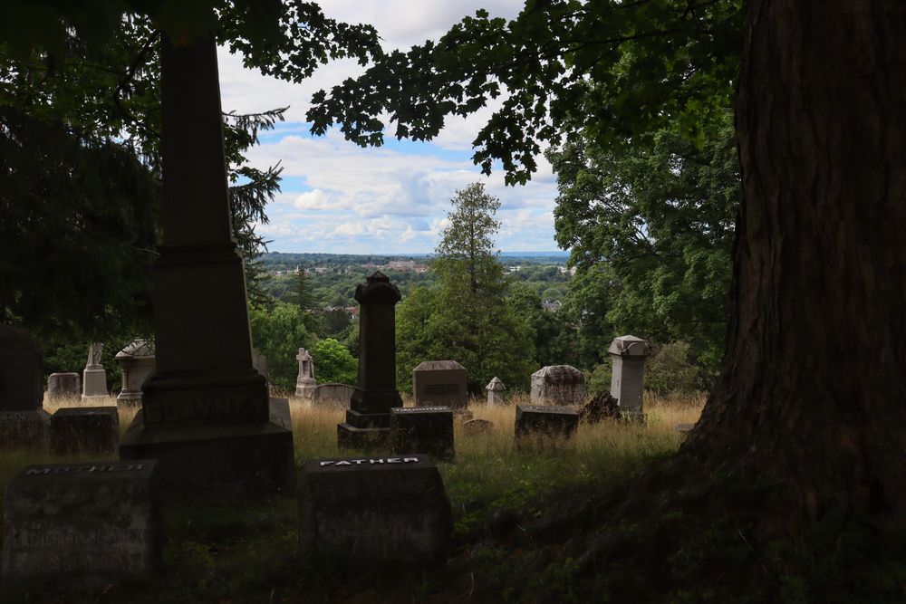 New Forest Cemetery