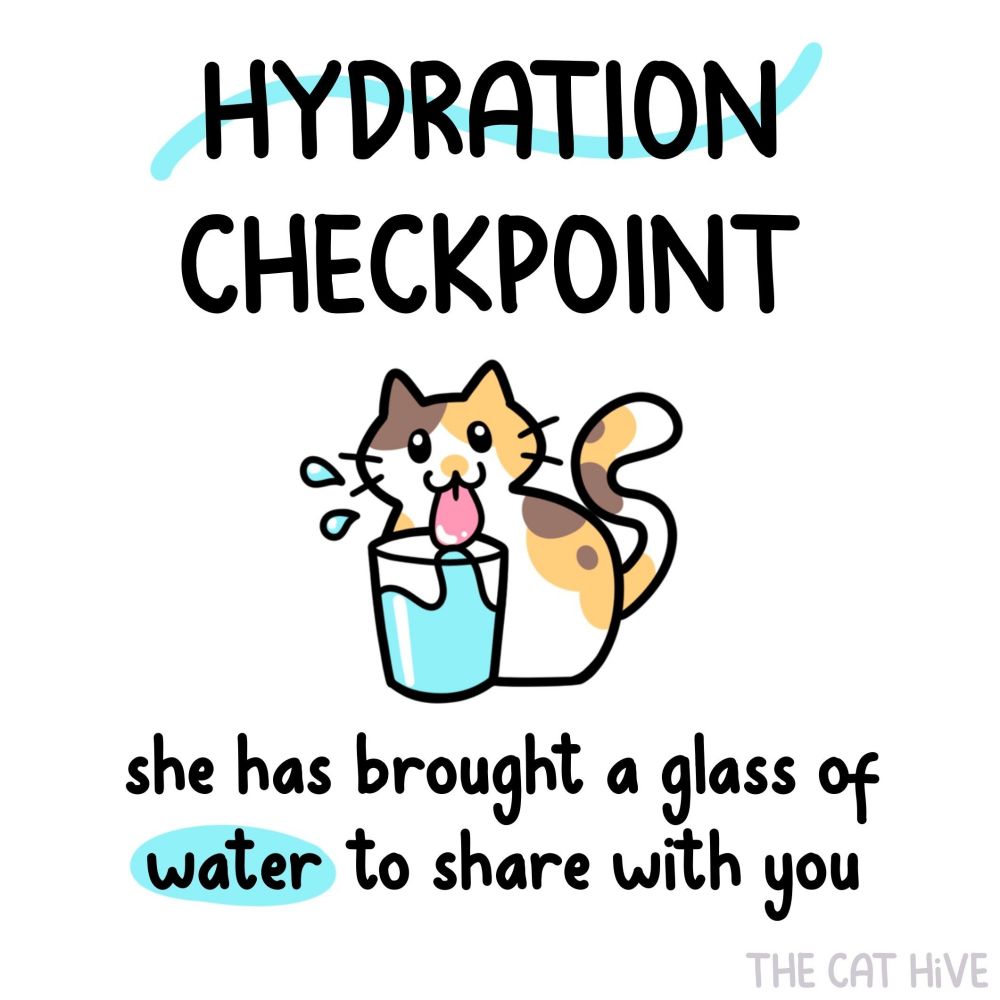 Doodle of a silly calico cat drinking out of a glass of water. The text above says "Hydration checkpoint" and the text below says "she has brought a glass of water to share with you." 