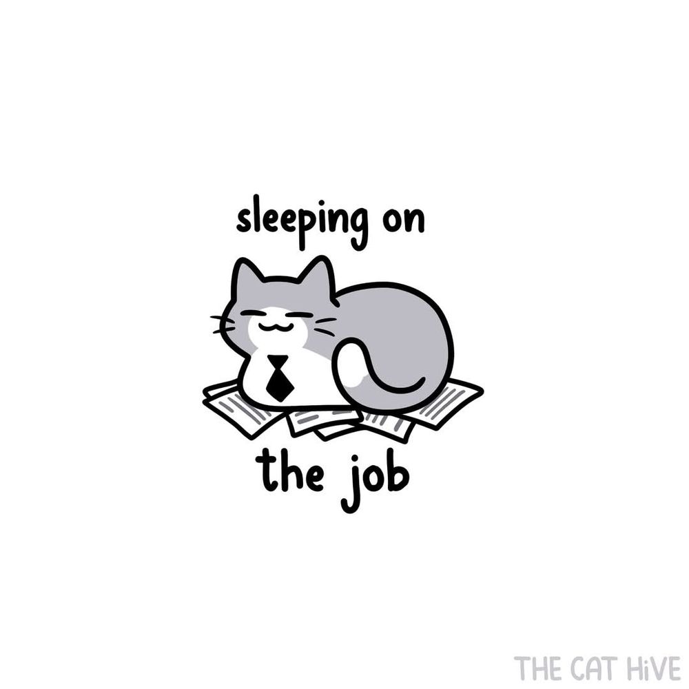 Doodle of a grey and white cat wearing a tiny black tie and sleeping on a pile of documents. The text says "sleeping on the job" 