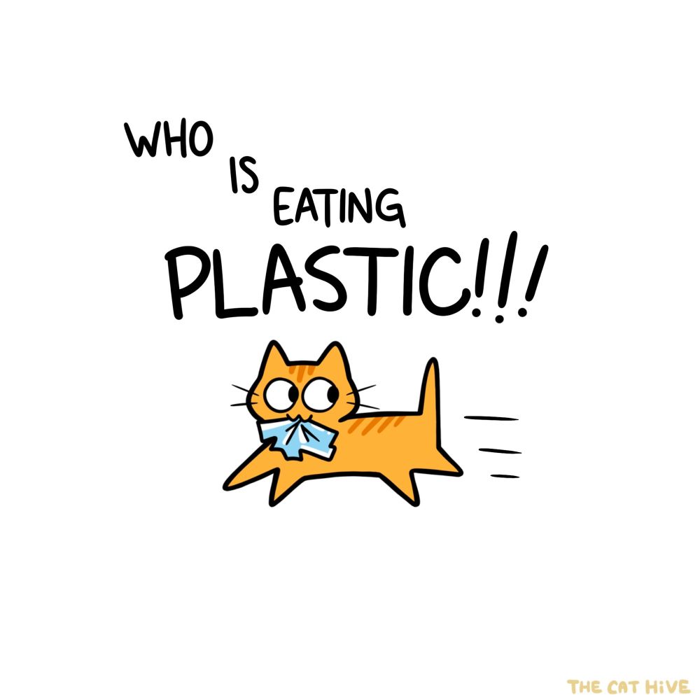 Doodle of an orange cat with a piece of crumpled plastic in his mouth. He is running away quickly, wide-eyed. There is text from someone shouting "WHO IS EATING PLASTIC!!!" 