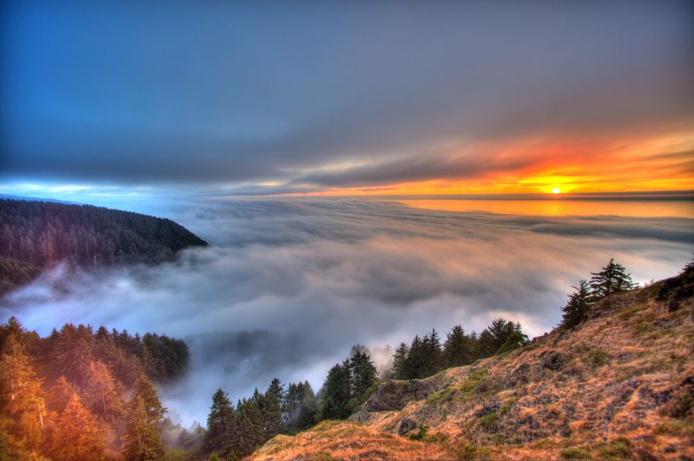 There is a mountain valley with green trees growing, and there is silver mist beyond. In the distance you can see a horizon with a dramatic orange sunset.