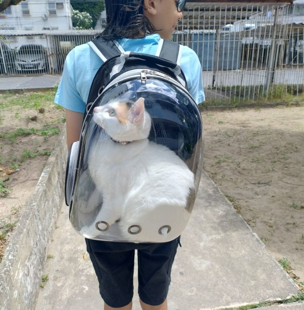Meu filho mais velho com a minha gatinha Sabrina numa mochila de transporte de gatos transparente 