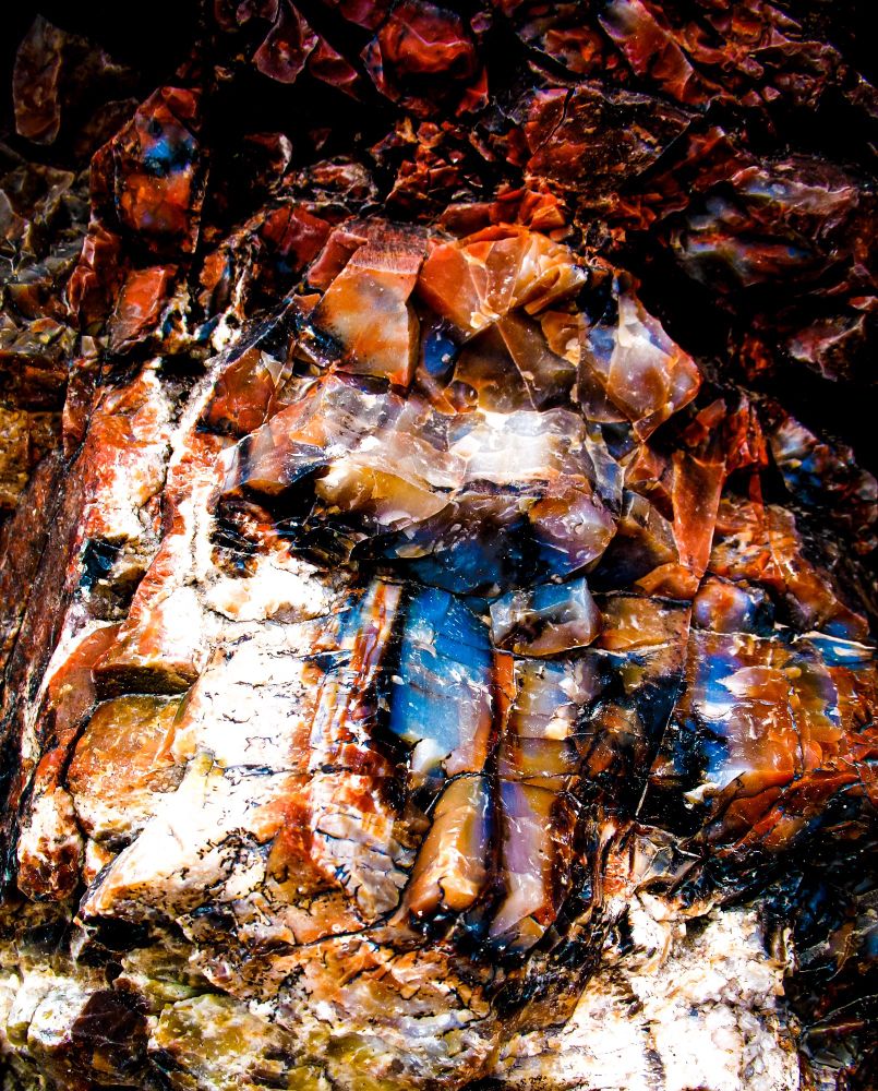 A macro image of petrified wood. Oranges, white and deep blues speckle what still resembles wood texture but is now stone. 