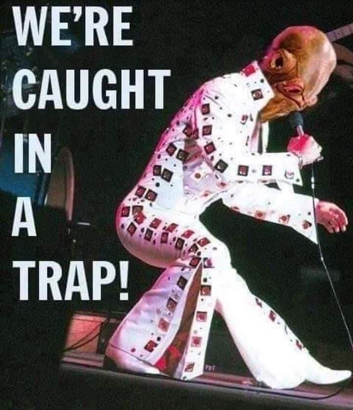 Well are caught in a trap!