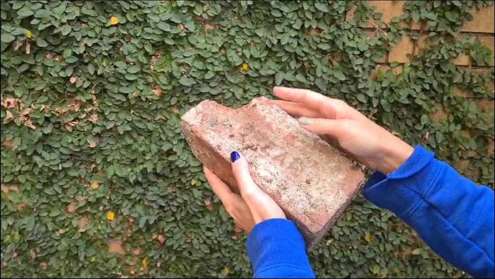 A picture of me stroking a brick