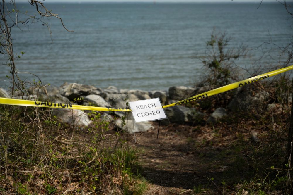Beachgoers around the country are being advised to think twice before plunging into the water because of high levels of bacteria, including fecal contamination.