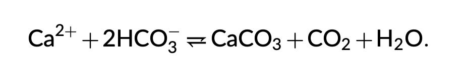 The chemical formula for formation of calcium carbonate from bicarbonate ions