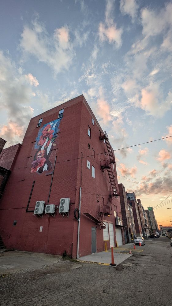 Back alley behind a red brick building with a 3 story high floral mural and a detailed pre sunset sky with whispy colorful cloud patches and a gradient from light blue to orange at the horizon in the distance