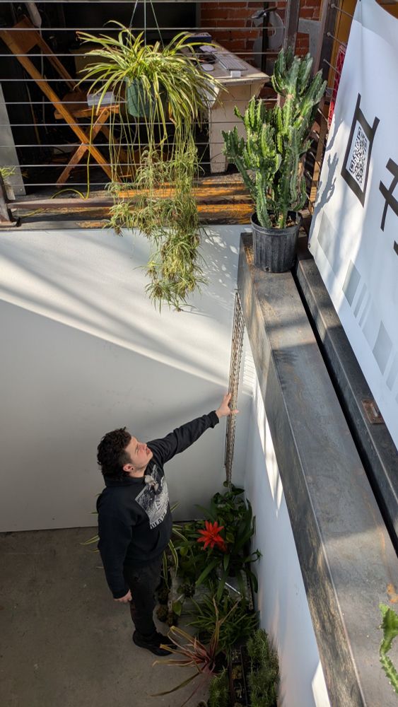 Looking down at masc in a sunken garden as they hold up metal trellis for climbing plants 