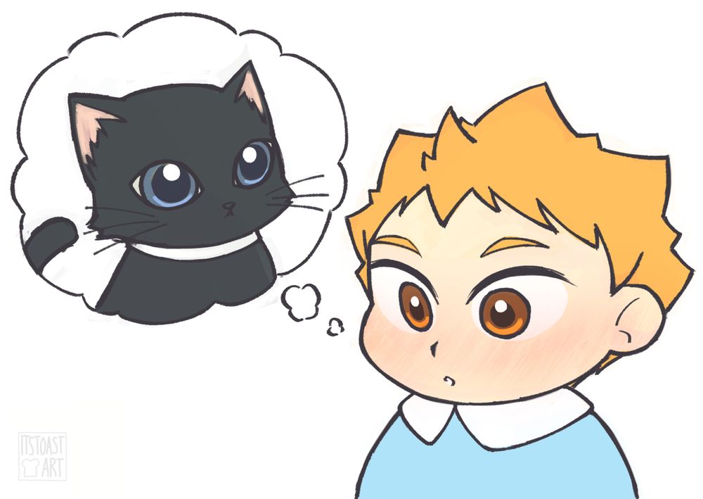 a baby shouyou being reminded of a kitty