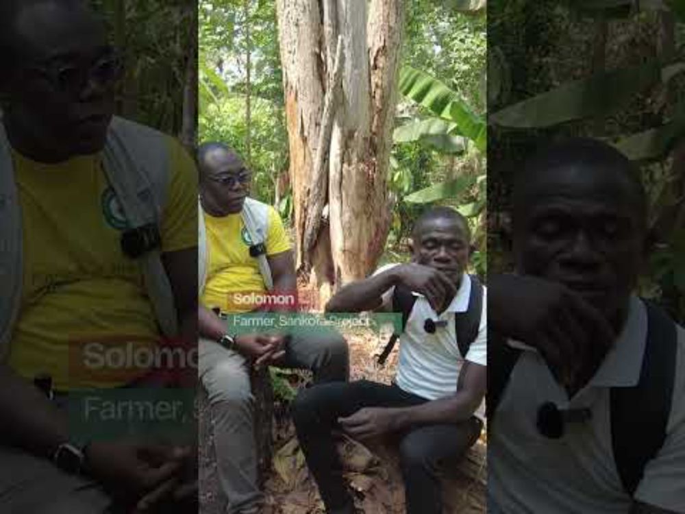 #SeedsOfResilience: Episode 4 - Dynamic agroforestry