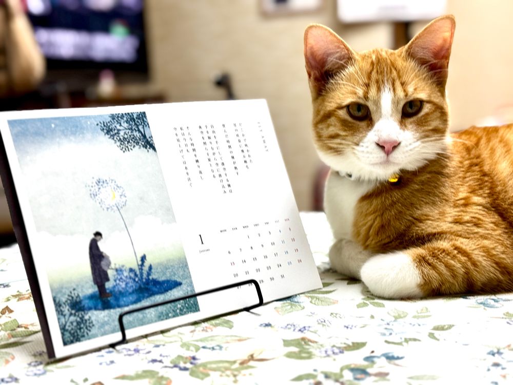 今日のレクサス