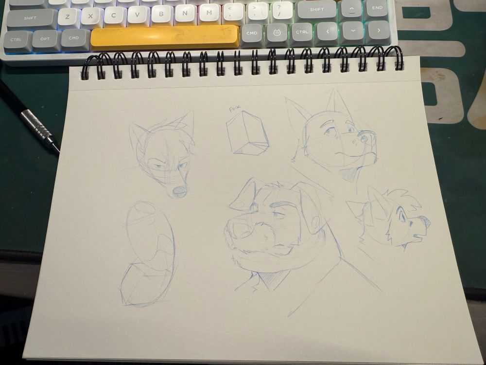 Post image (had no alt text on Bluesky)