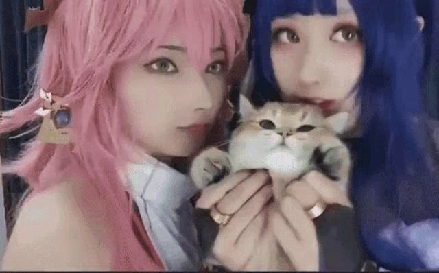 two women in pink wigs are holding a small cat .