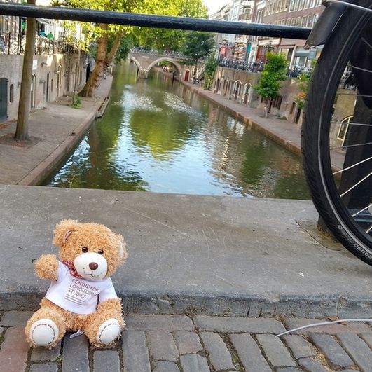 A teddy sitting by a canal