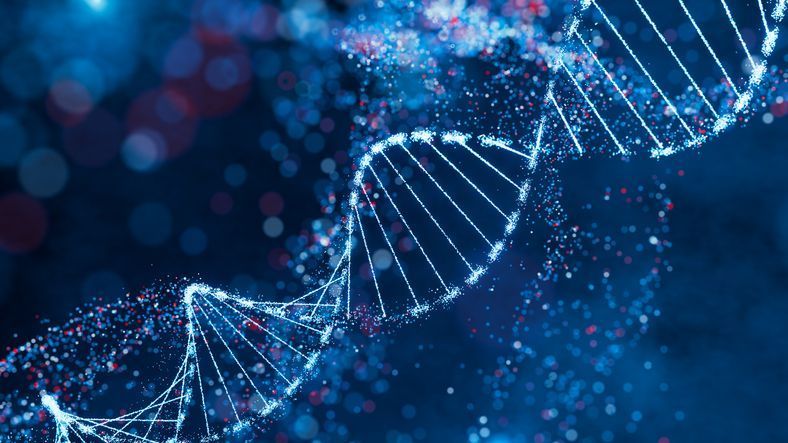DNA helix