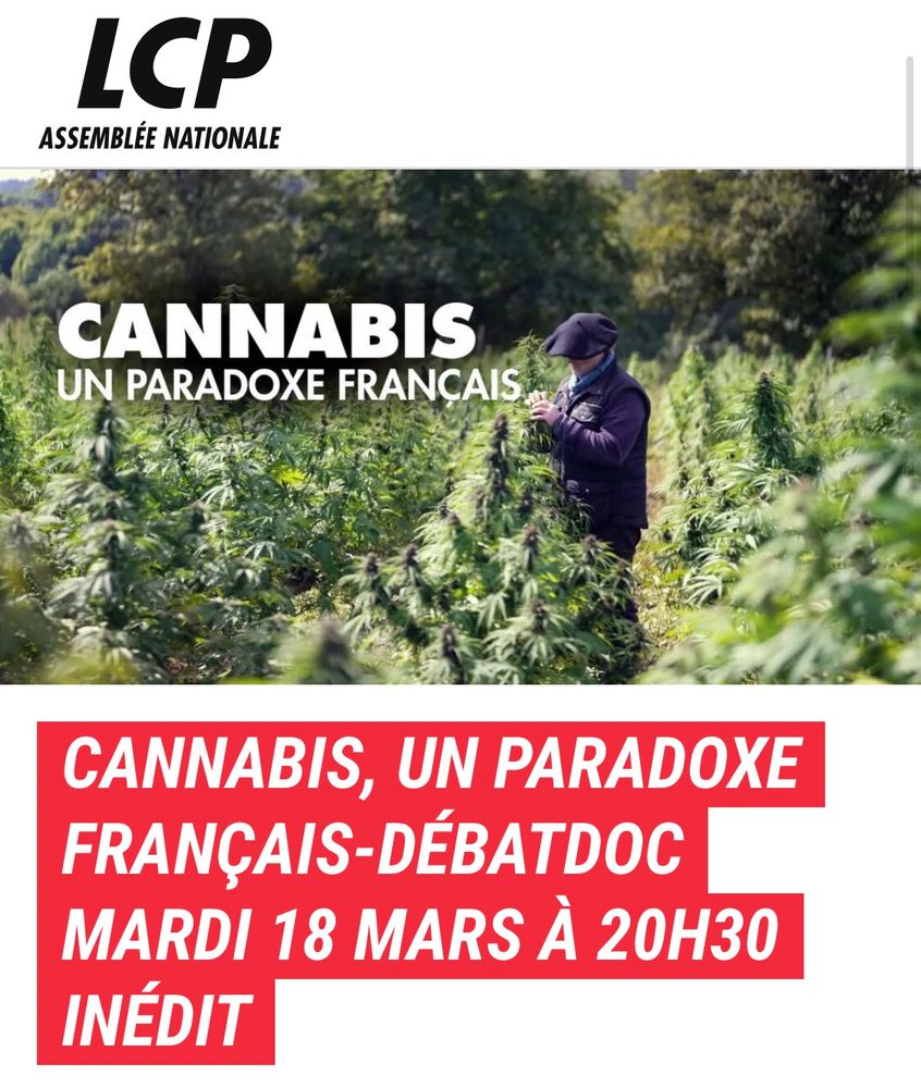 Cannabis, un paradoxe français, débat et documentaire mardi 18 mars a 20h30. Image d’un cultivateur de cannabis dans son champs