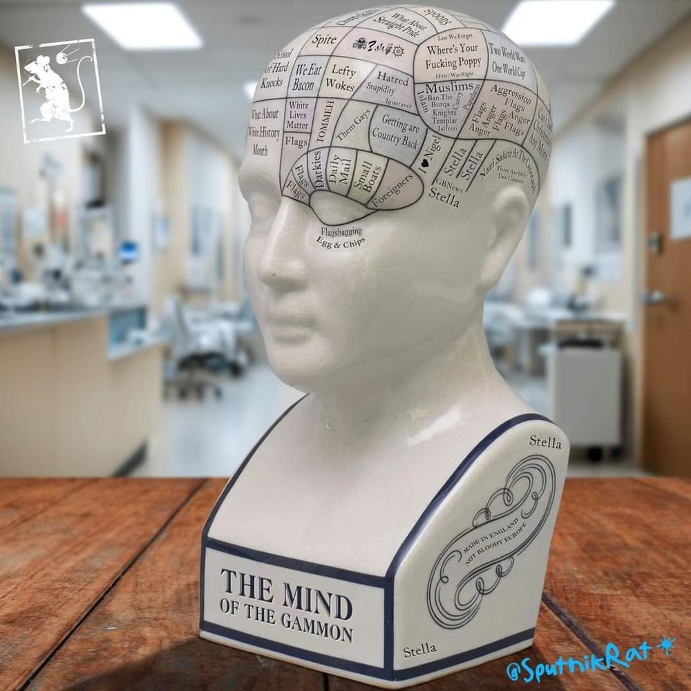 A sculpture of a gammon's head, for scientific purposes, displaying areas of its mind and the gammony issues that they are focused on.