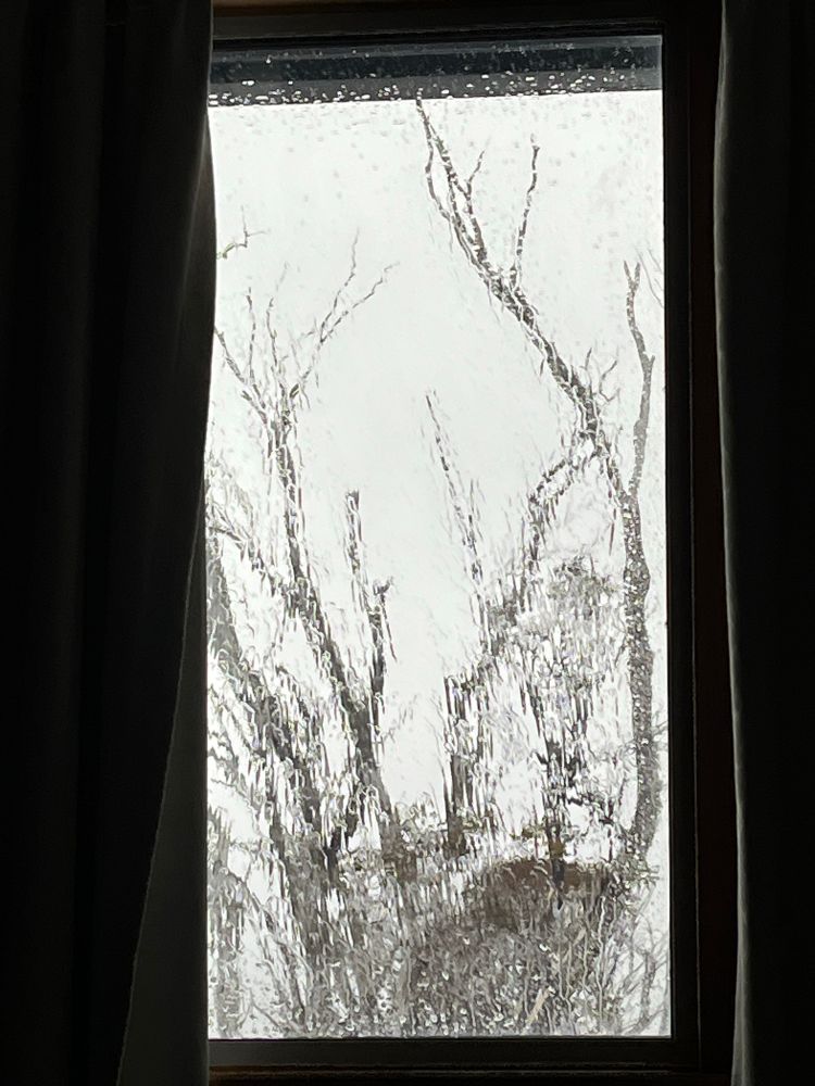 View through a window streaked with rain and sleet to bare limbs of trees and grey grey skies behind