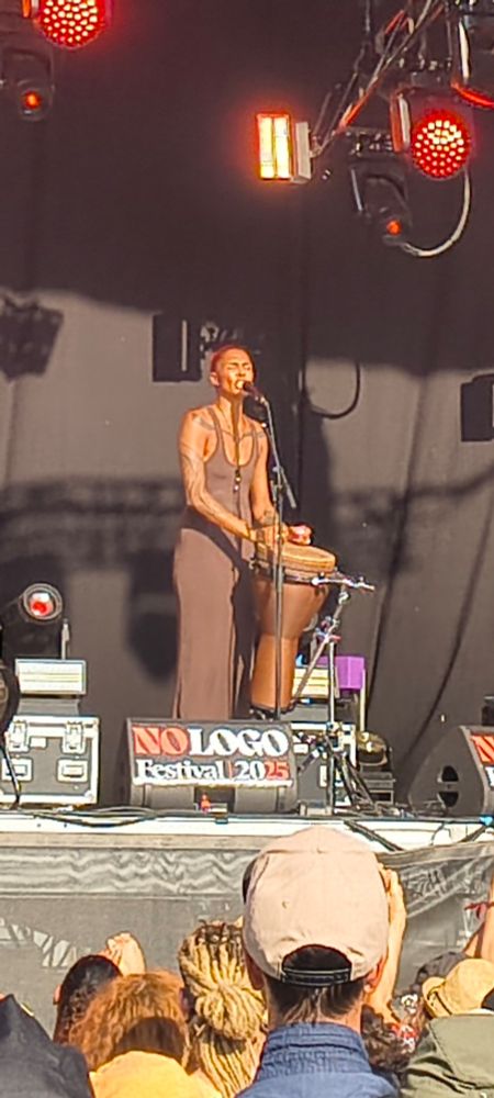 Ayo au NoLogo Festival
