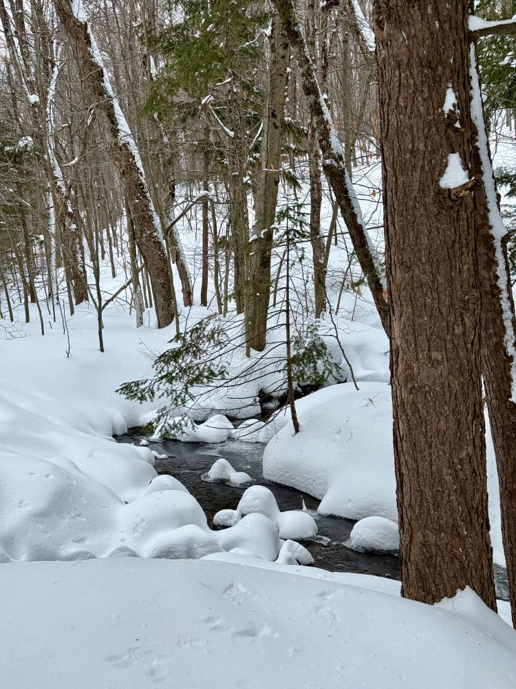 Lauriault trail - Gatineau Park