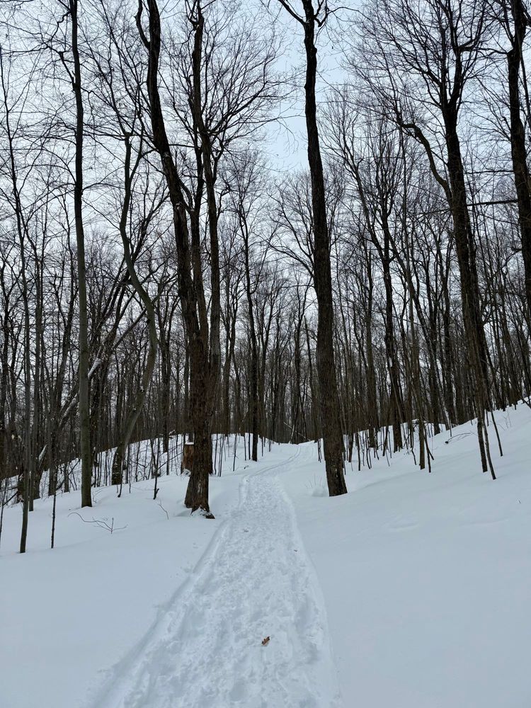 Lauriault trail - Gatineau Park