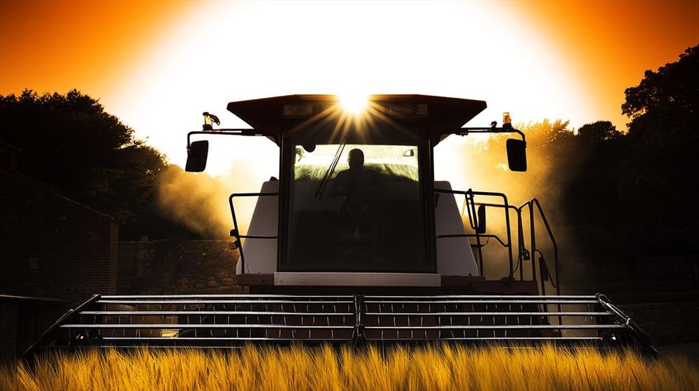 Rendement Solaire.
Moissonneuse vue de face, éclairée par un soleil éclatant derrière elle, sur fond de champs dorés.
Frontal view of a harvester lit by the blazing sun behind it, against a backdrop of golden fields.