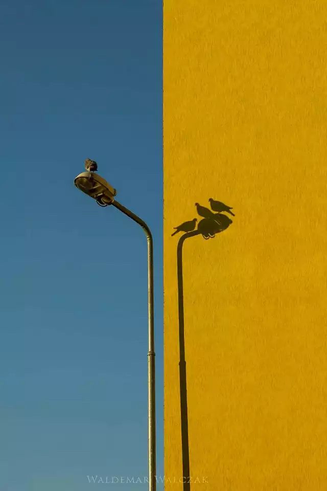 Author of the image is superimposed at the base of the image