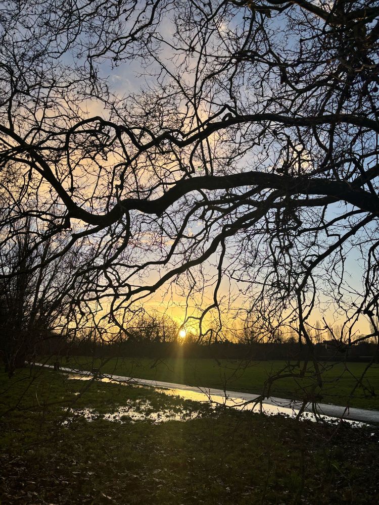 Sunset over a grassy field with puddles 