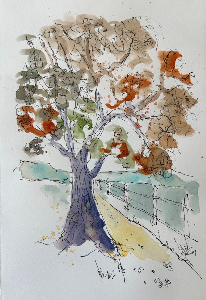 Sketch of a tree in ink and watercolor