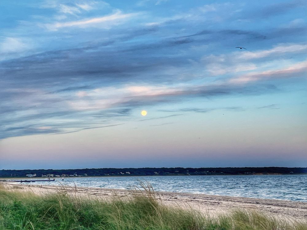 Gardiner’s Bay this morning facing West. Moon is visible, skies are blue with pink hues 