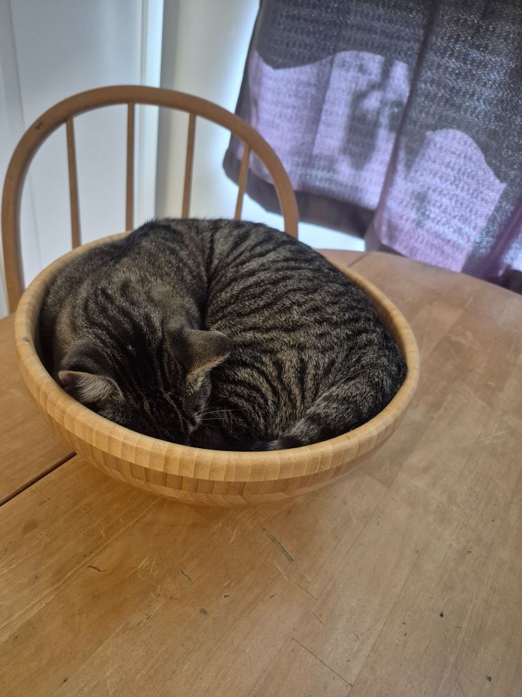 back to sleep