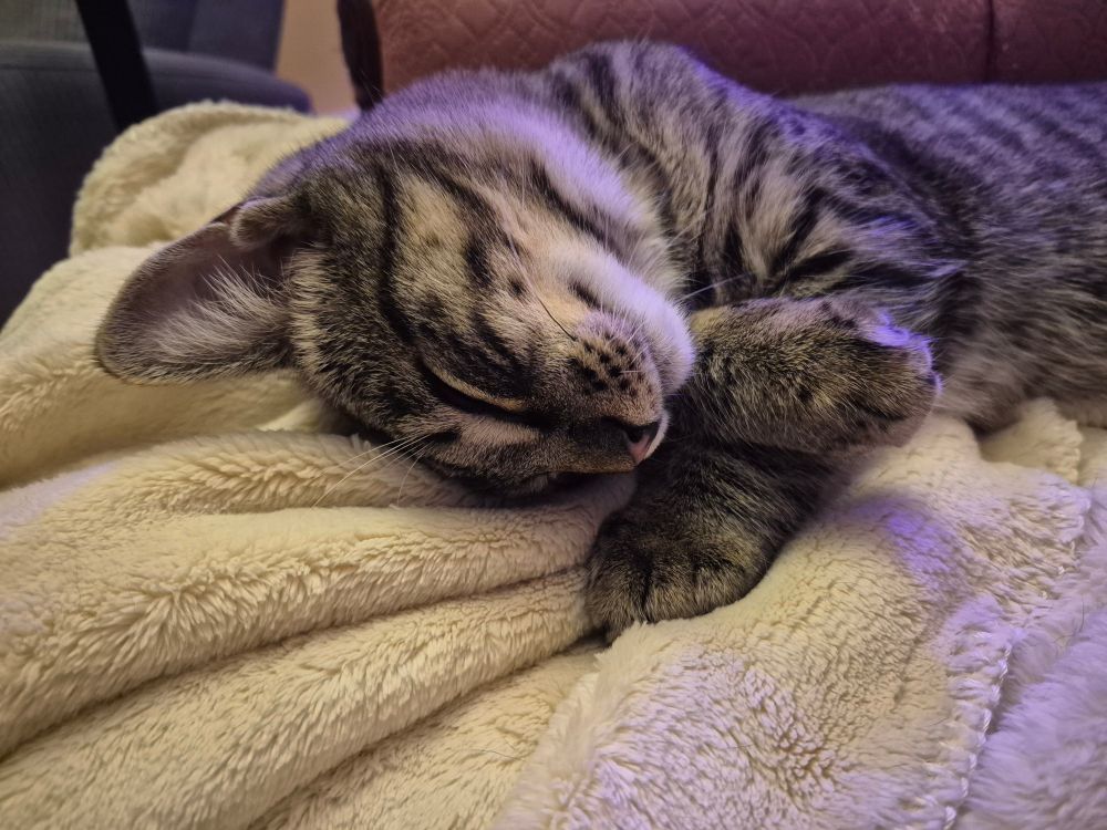 sleeping like a doofus