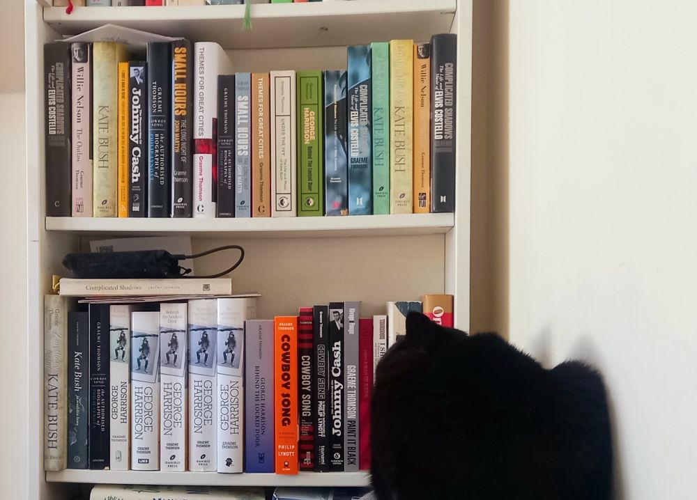 Milo, a black cat, stares haughtily at a shelf of my books