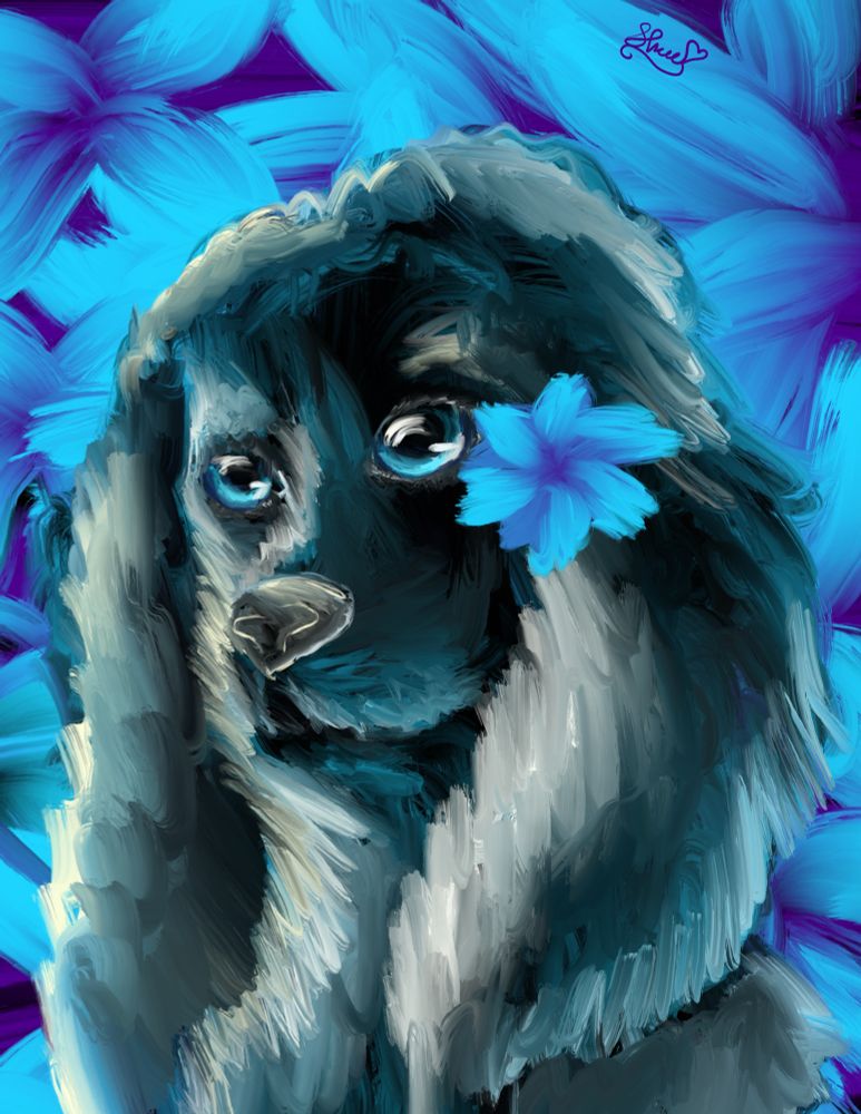 Black King Charles Spaniel with blue flowers