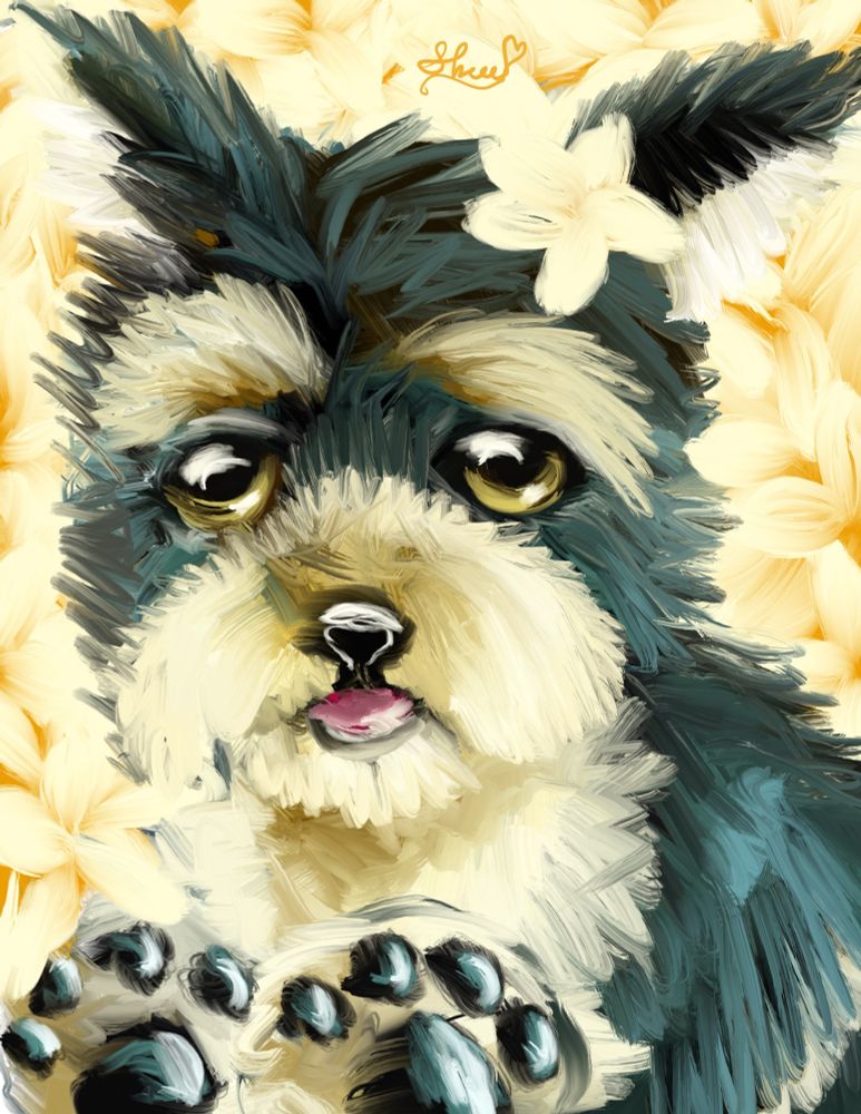 Yorkshire terrier with yellow flowers