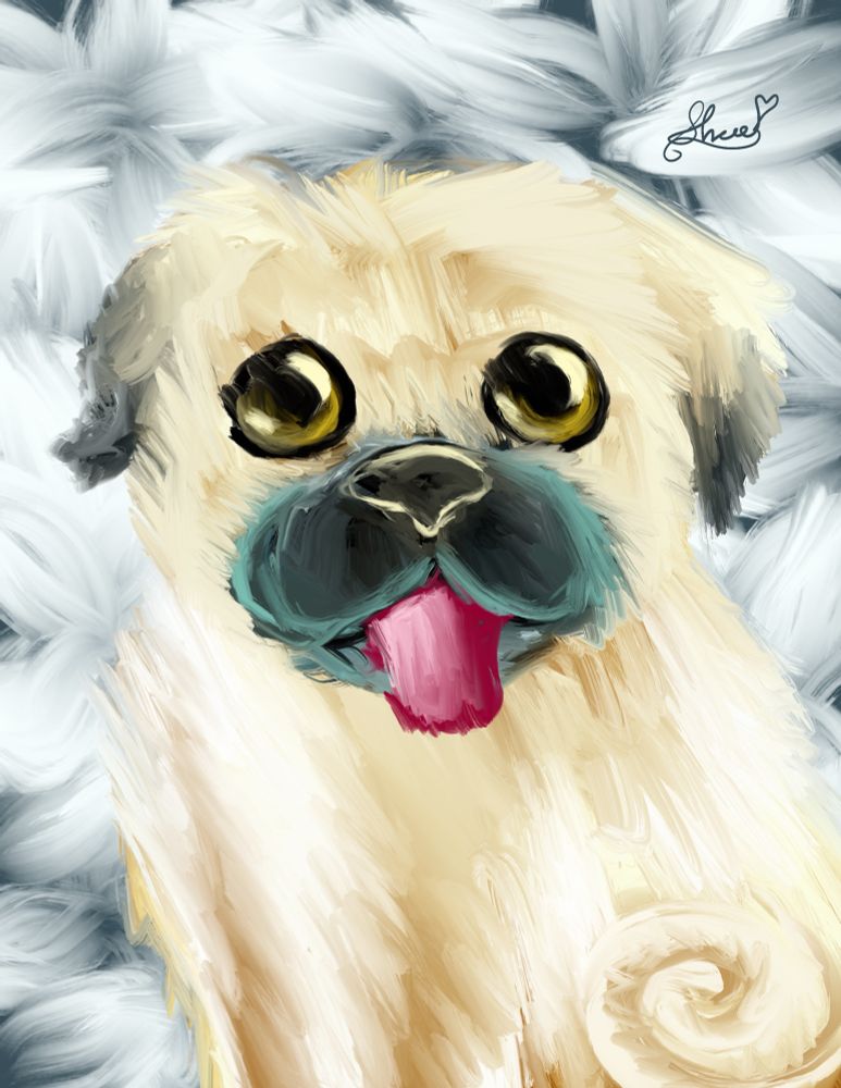 Pug with white flowers