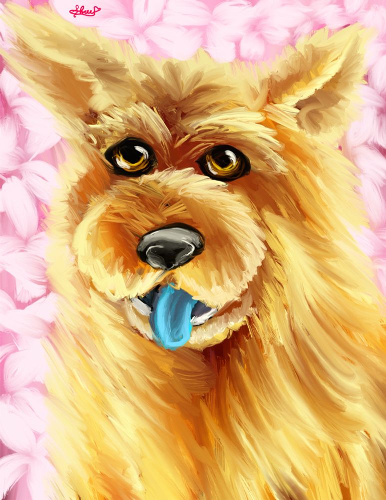 Red chow chow with pink flowers