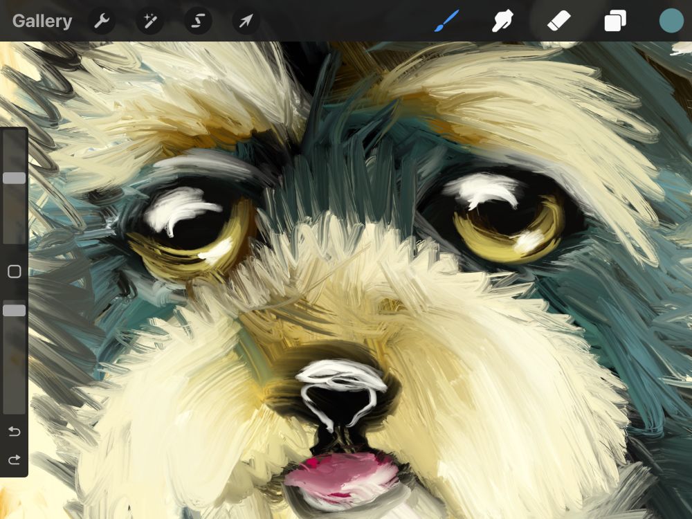 Close up of a Yorkie puppy face with bright brown eyes