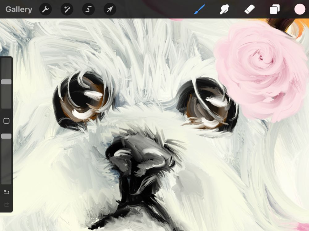 Close up of a Maltese puppy face with big eyes and some fur covering part of the eye
