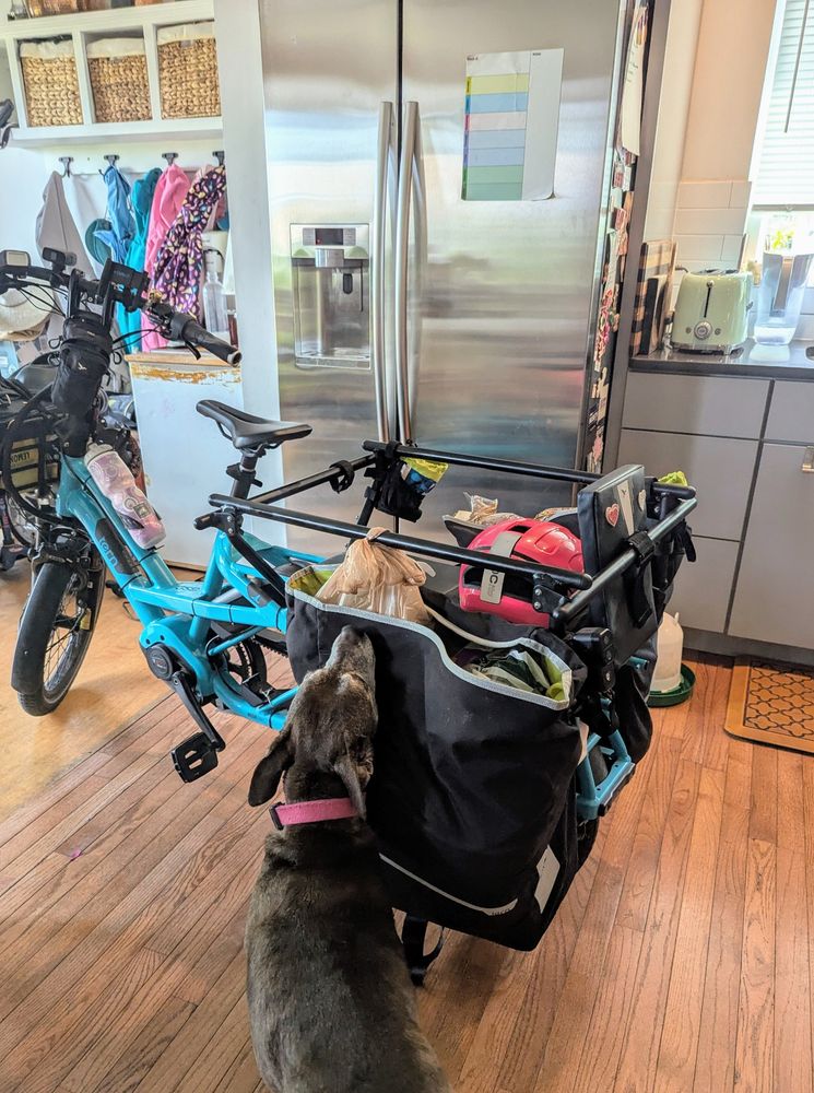 A cargo bike full of groceries next to a refrigerator, with a dog checking to see if we got anything good
