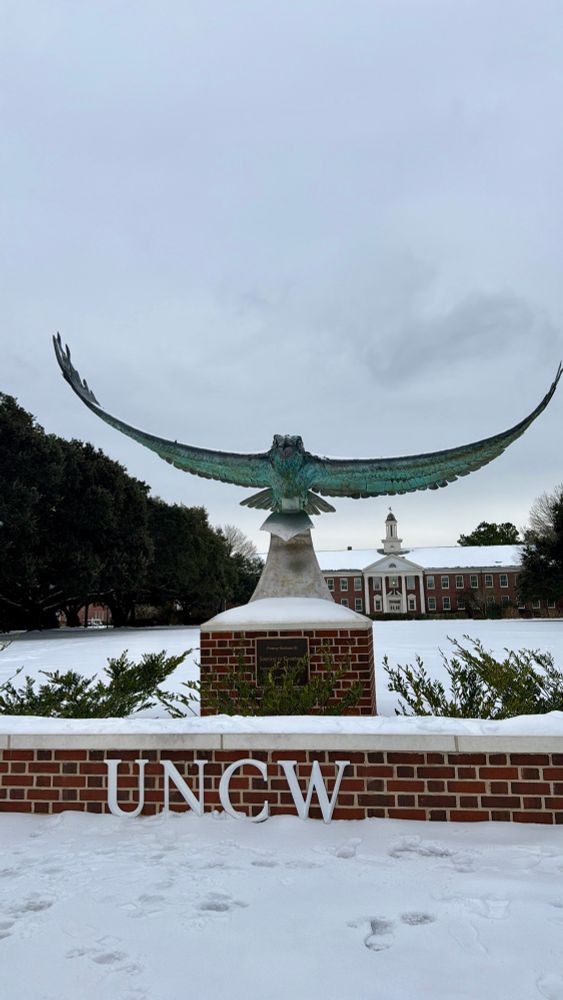 UNCW Soaring Seahawk statue covered in snow.