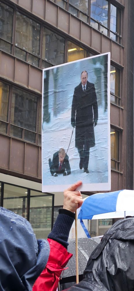 Putin's puppy. 