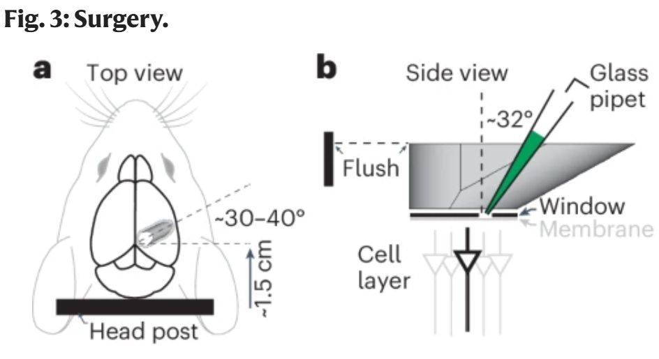 Copy of Figure 3 from the linked paper.