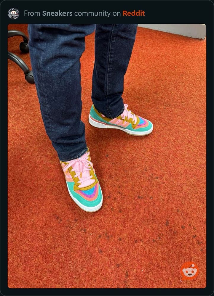 Colorful shoes seen on Reddit. Simpsons cat and dog on heels.