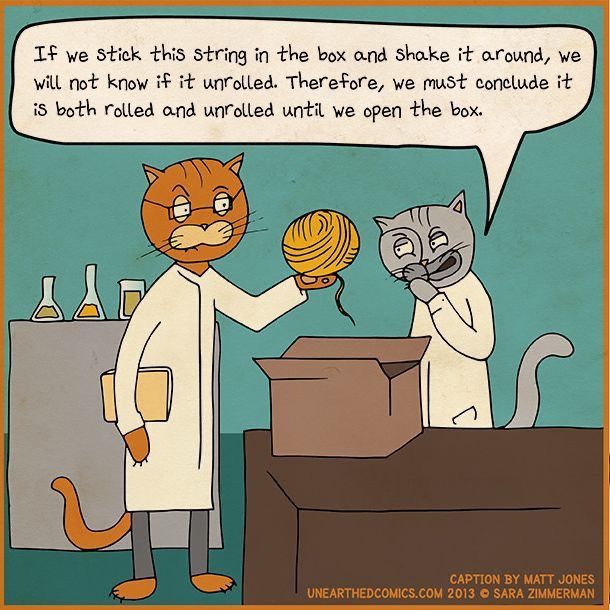 Cartoon about cat scientists not knowing if the yarn in the box is rolled or unrolled.