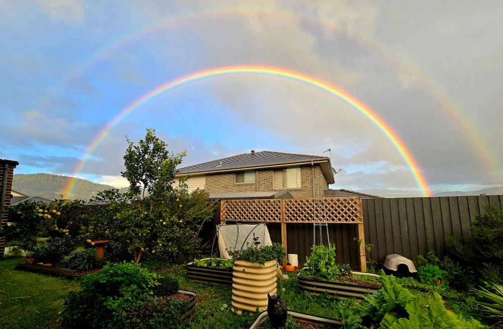 View across a small vege garden with a house in the background and a double rainbow across the top.