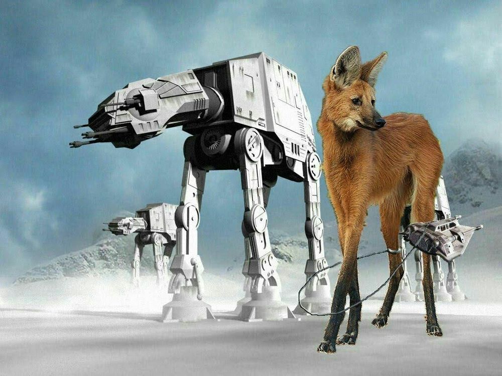 A maned wolf being lassoed around its long legs while standing at the height of a few AT-ATs in a frozen environment. Someone particularly spiteful wants to make it fall because it is so tall.