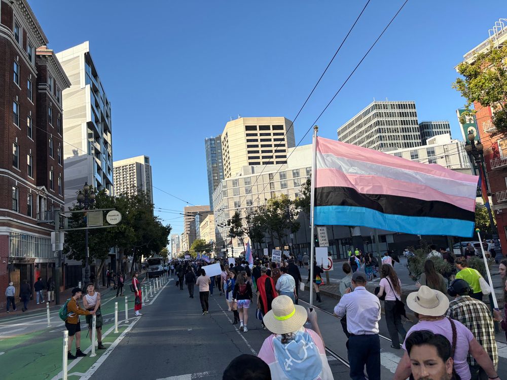 A woman holding up a Dorsey pride flag. It has pink, white, pink, black, and blue stripes. The woman is marching down Market street. 
